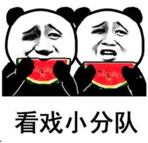娱乐吃瓜表情包,笑料横生！
