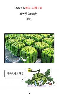 全网吃瓜官网,揭秘娱乐圈幕后真相，带你领略明星生活百态